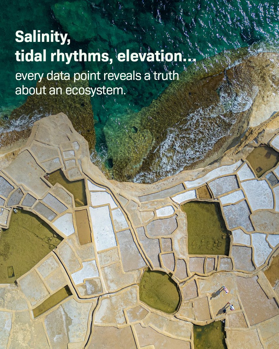 Nabat_ai's tweet image. Nature has its own language. Every root, shoot &amp;amp; fruit is a signal—the challenge is knowing how to listen.

At Nabat, our AI-driven habitat mapping decodes ecosystems, turning signals into a roadmap for restoration.

#AIForNature #ClimateTech #Restoration #Sustainability #Nabat