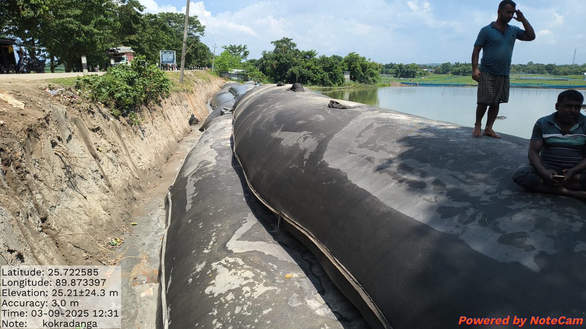 ➡️ At Kokradanga in South Salmara-Mankachar, permanent anti-erosion works using Geo Mega Tubes are progressing at full pace to safeguard lives &amp; livelihoods.