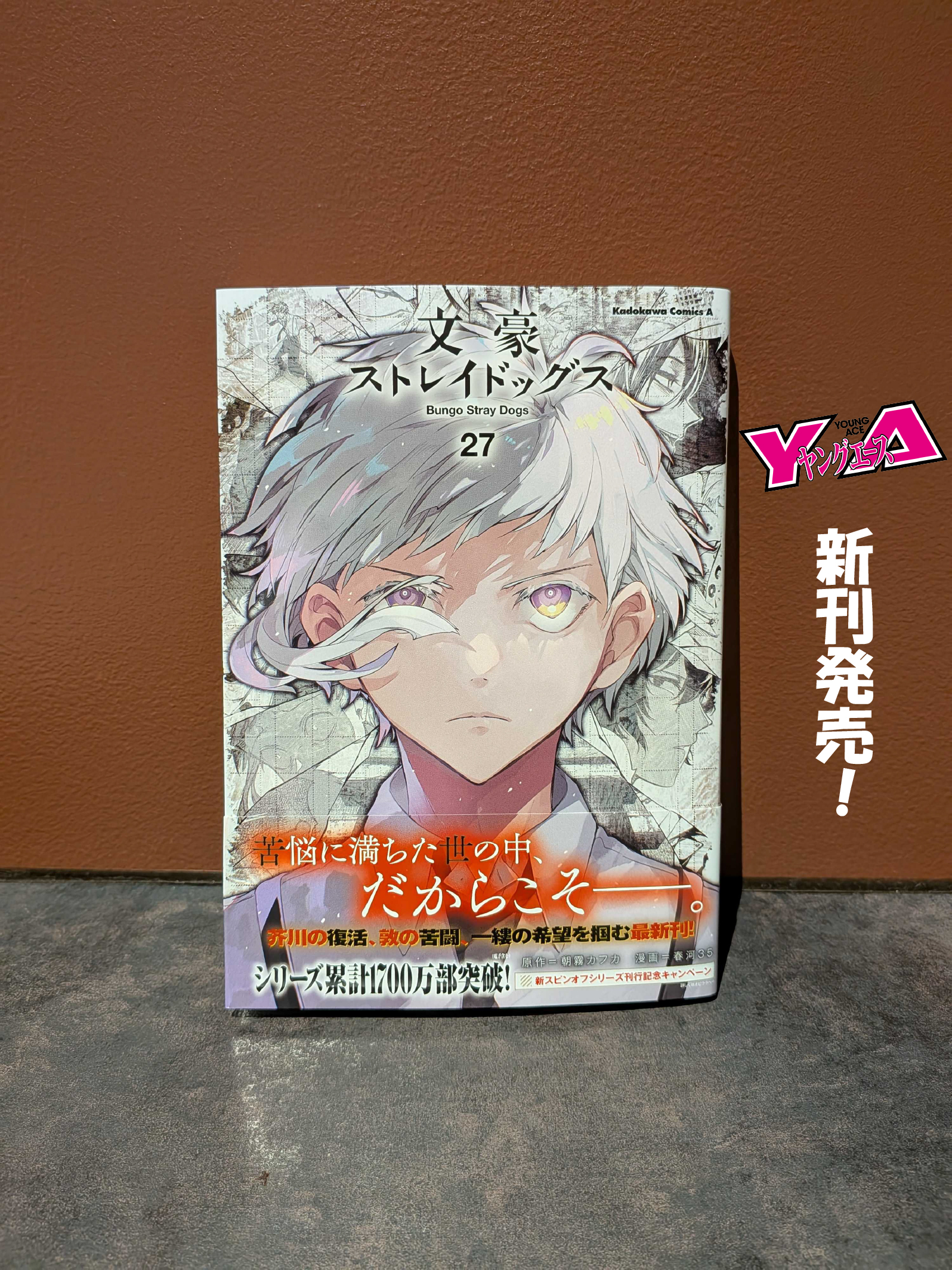 文スト　漫画16冊+劇場版来場者特典小説2冊+小説4冊 文スト 漫画16冊+劇場版来場者特典小説2冊+小説