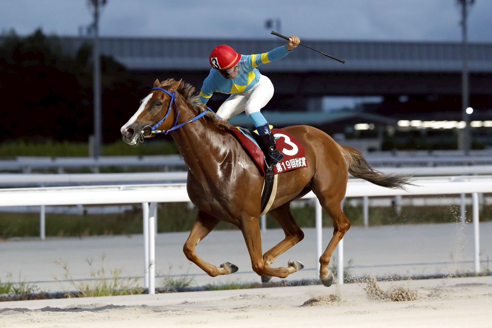 地方競馬全国協会(NAR)公式 on X: 