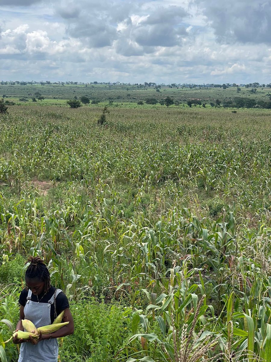 They won't see what she's bringing to the table now oo