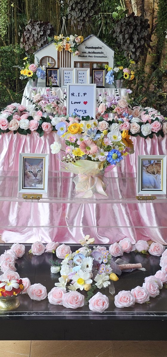 JBBBW's tweet photo. I might be in my mid 50s but certainly not embarrassed to say I have been balling my eyes out all day. RIP my boy x. https://t.co/pOQYx0BPNP