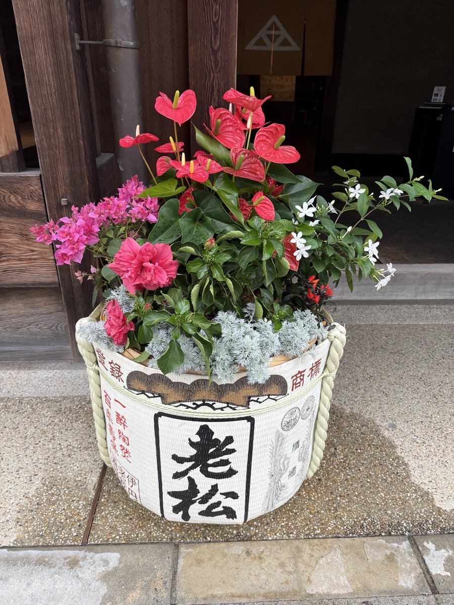 itakon25's tweet photo. 酒樽の寄せ植えは田中学芸員が毎年アレンジしています😊 https://t.co/7karrbgMS4
