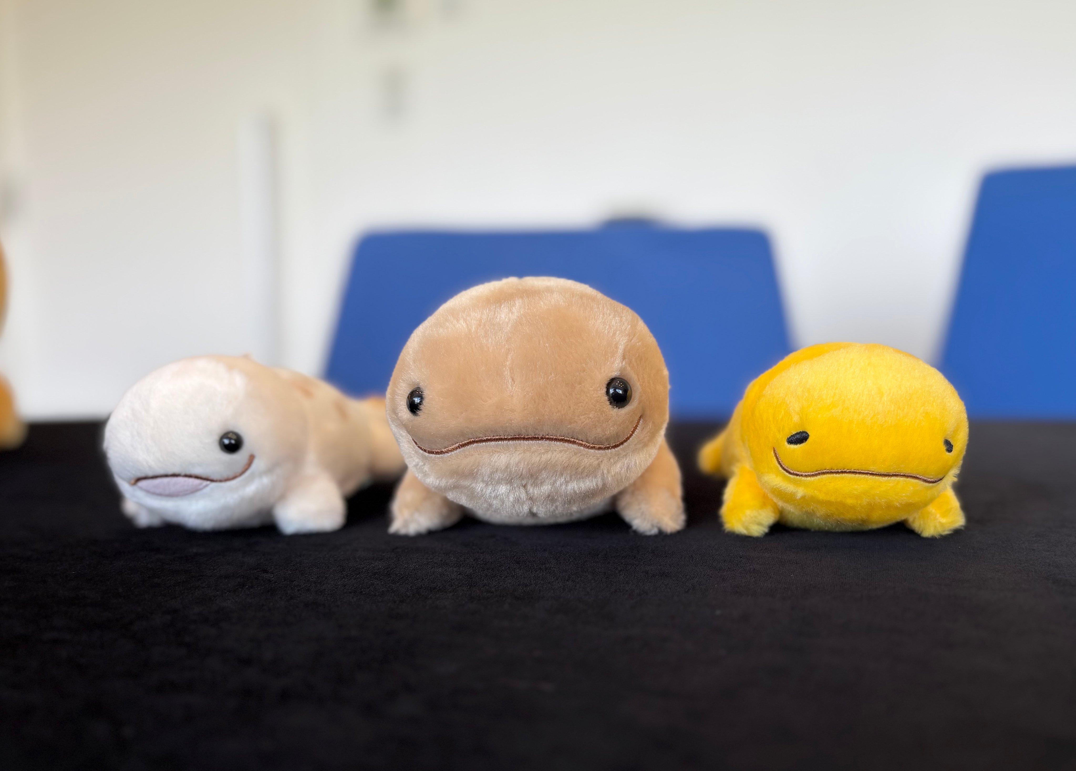 ⑩ 雑貨 お得セット　アミューズメント アミューズ AMUFUN【公式】 (@AMUSE_japan) / X