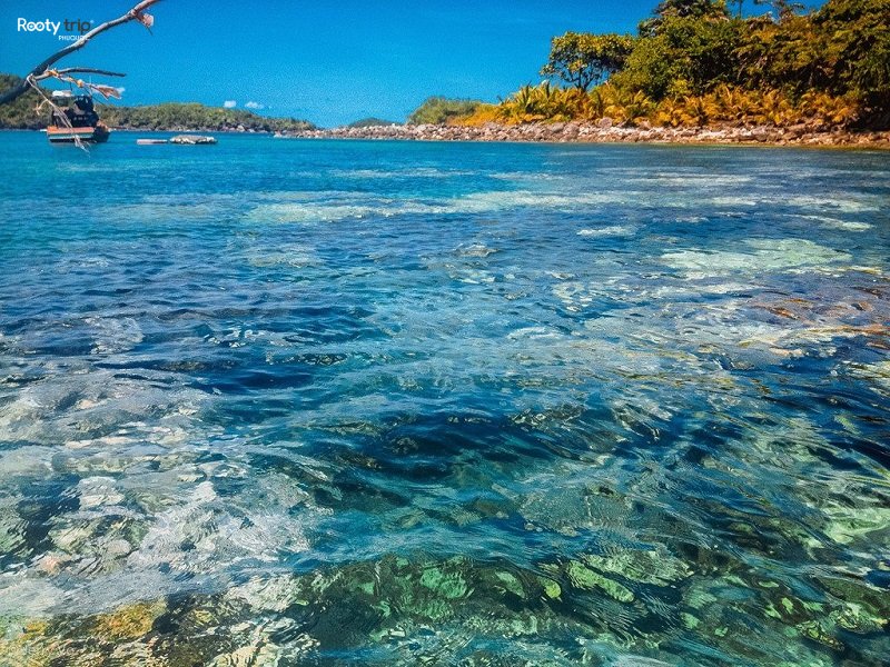 rootytrip_'s tweet photo. 🌴 Nếu bạn đang tìm một nơi để tận hưởng không gian yên tĩnh và hoang sơ, thì Gành Dầu Phú Quốc chính là gợi ý hoàn hảo.
https://t.co/HHglItxPVt
#ganhdau #dulichganhdau #ganhdauphuquoc #phuquoc #rootytrip https://t.co/XisG8ZXHtb