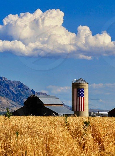 FeraleRIGHTDawg - 1776! tweet media