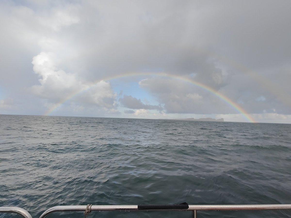 We found the pot of gold - it's beside Tory Island 😎 
Lovely looking seabed too 🤤. Happy mapping with <a href="/followtheboats/">INFOMAR</a>!