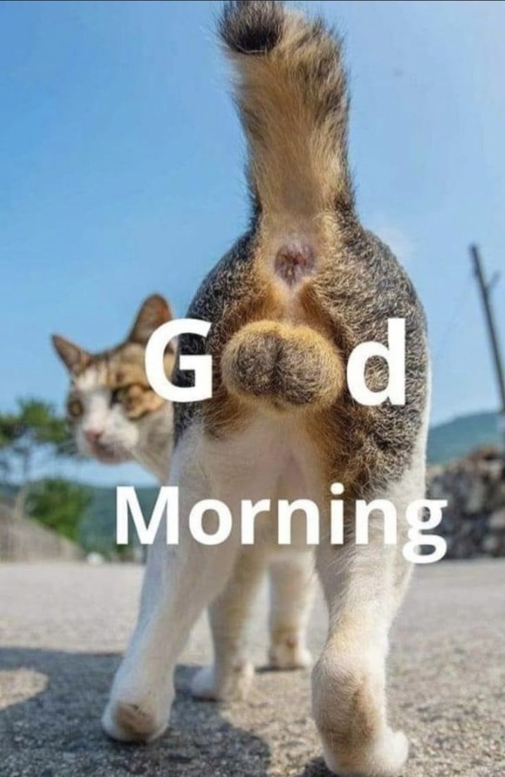 0xMharvy's tweet photo. GM ☀️
It’s M🅰️RVEL o’clock ⏰ and I’m flying with @use_zypp 🚀⚡️
Where speed meets innovation, and every move is super-powered 🦸🏾‍♂️✨

Stay focused, stay inspired — let’s make today productive and powerful 💪🔥
#Zypp #Web3 #GM https://t.co/UIjQpgfZRs