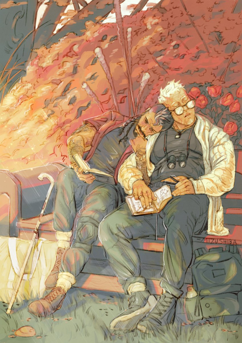 ✨Shiba♠️ tweet media