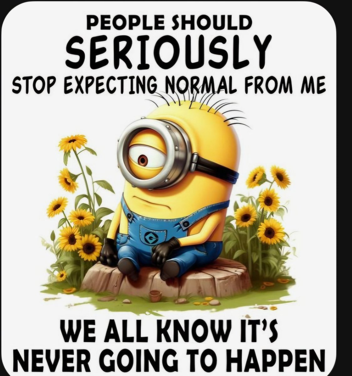 MNHockeyMomx3's tweet photo. Good morning my XFamily, Patriots, Veterans, and LEO's!
It's Thursday! Friday-Eve!
I think Minnesota has passed the season of autumn! It's a balmy 43° with a high of 50°!
Keep praying for our Nation and DJT!!
#TrumpIsAlive #ChristIsKing https://t.co/A79ajjfUGl