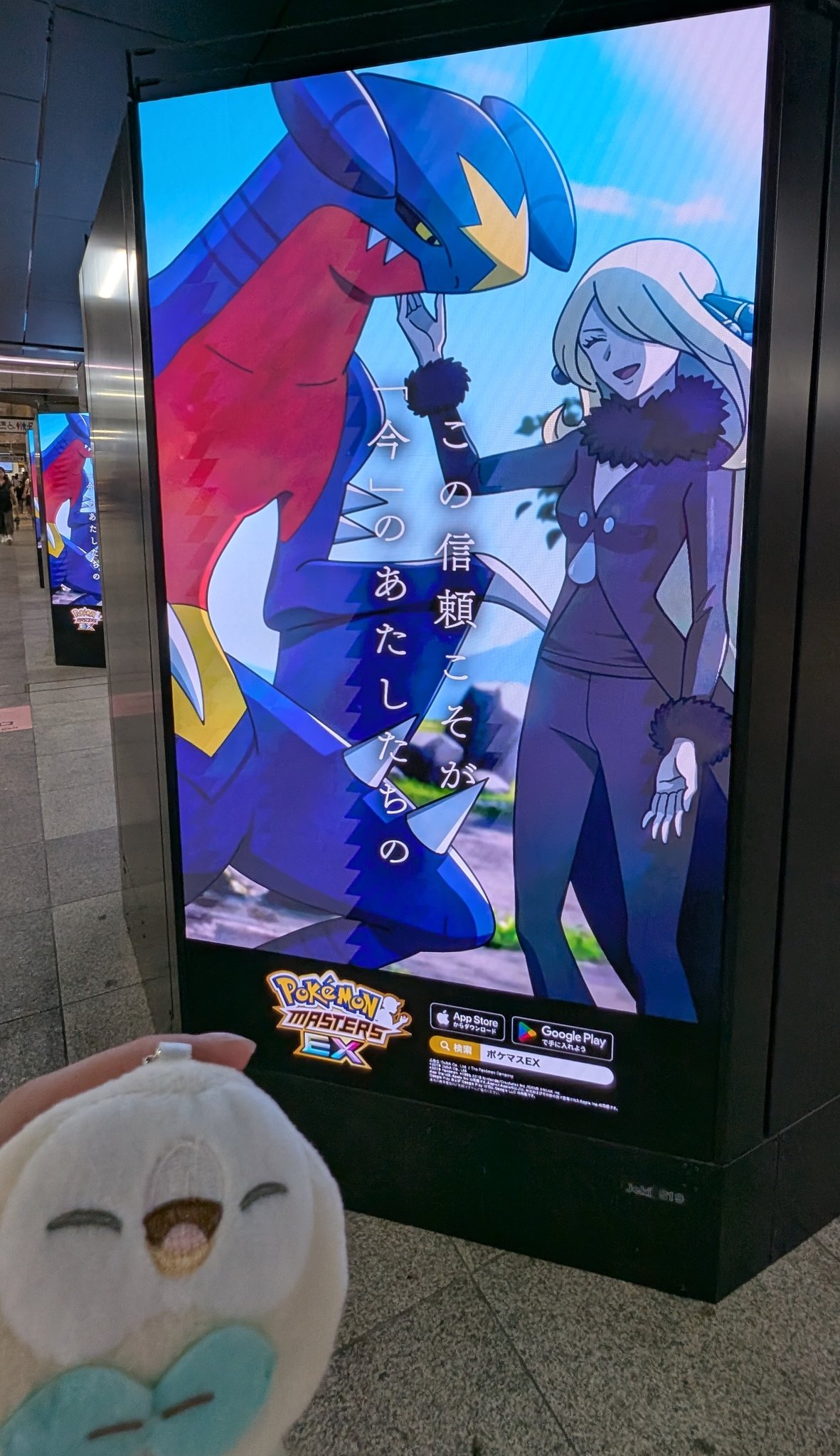 シロナ $_57.JPG?set_id=8800005007
