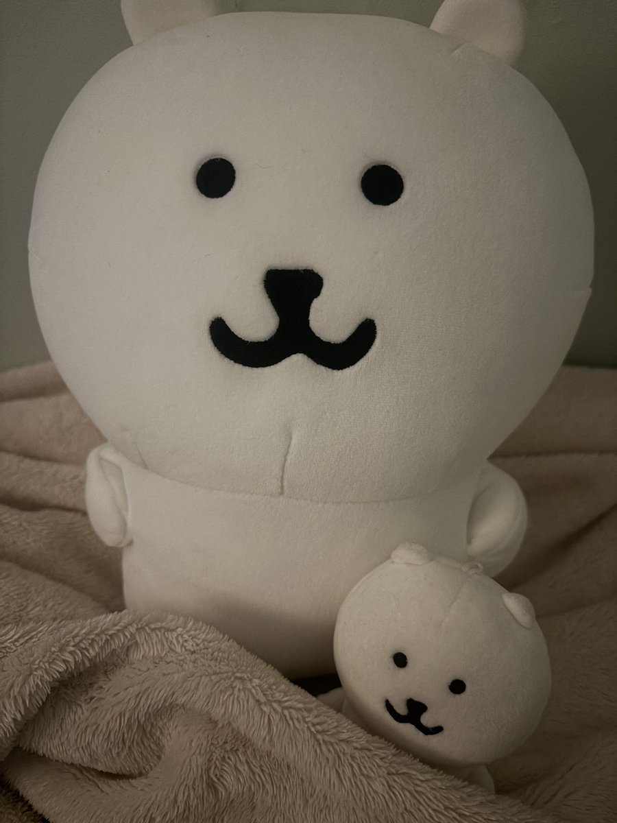 ほらね
くまは呼吸もするし体温もあるしそこにいる