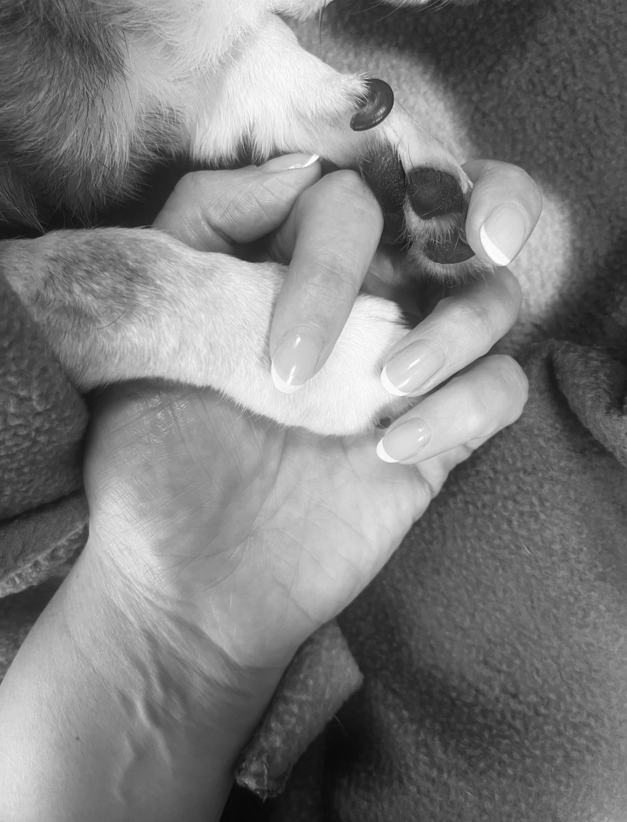 The worst 💔
30.10.12 - 3.9.25
My best best boy x