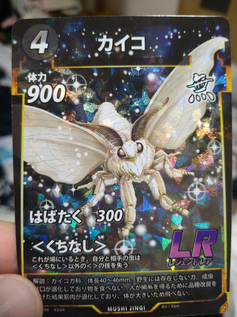 ようやく1枚当てました🥹

何パック買ったかわからないですが…

出た瞬間の娘の顔がしばらく忘れられないな🥰