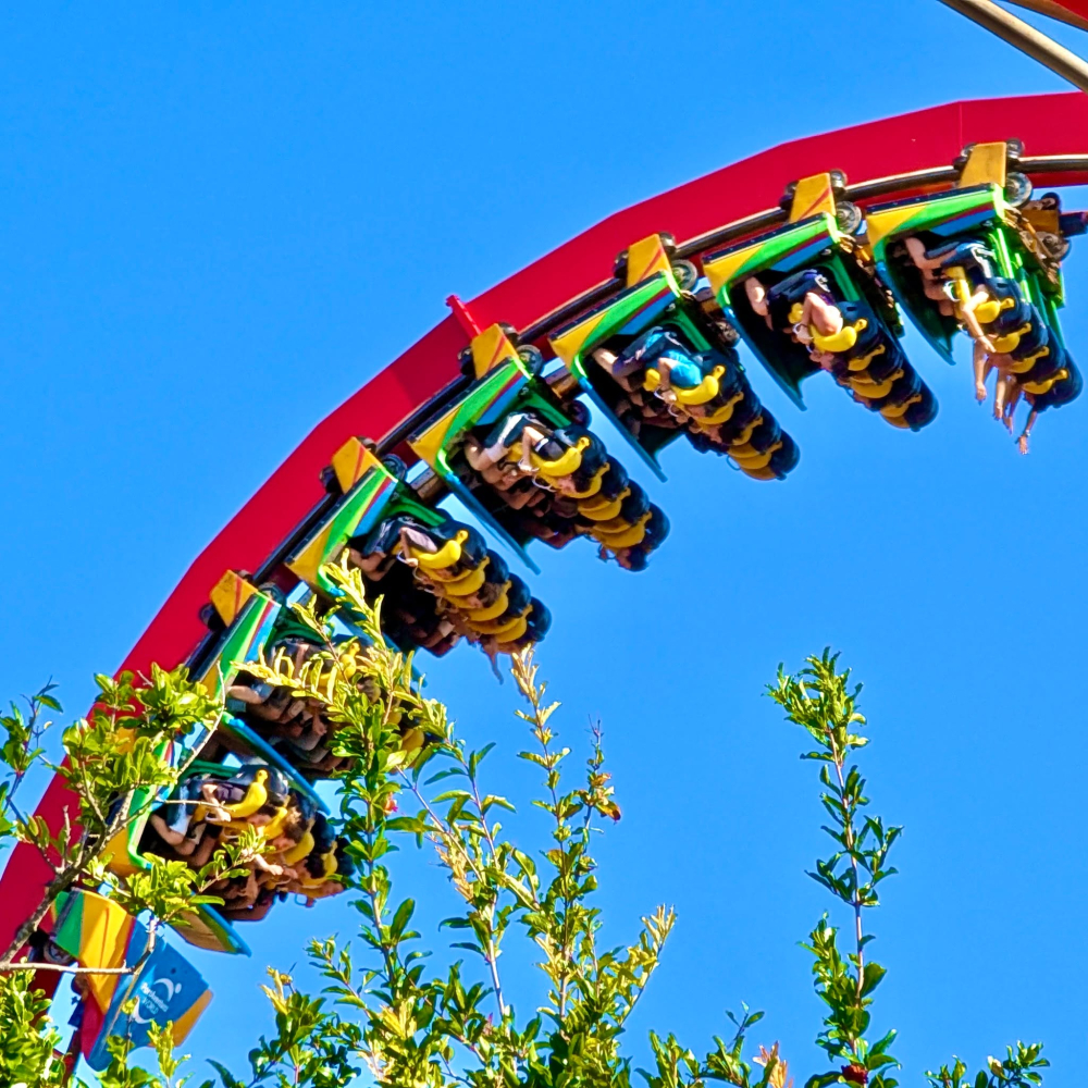 En Dragon Khan recorrerás 1285 metros con una velocidad máxima de 110 km/h 🐉