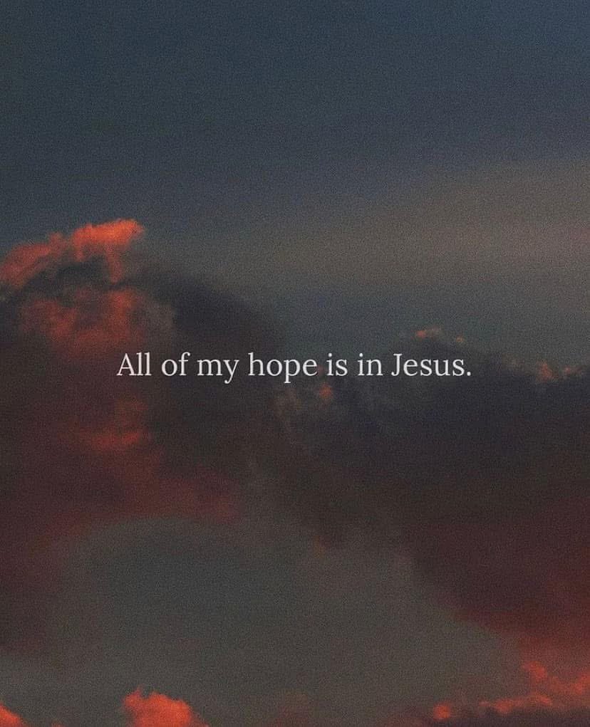 Pond’s Edge Farm tweet media