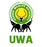 To the Head of Reservations <a href="/ugwildlife/">Uganda Wildlife Authority</a>, I sincerely appreciate your warm hospitality and the way you handle clients. You and your team are among the most welcoming people I’ve encountered in any parastatal office. Many thanks!
