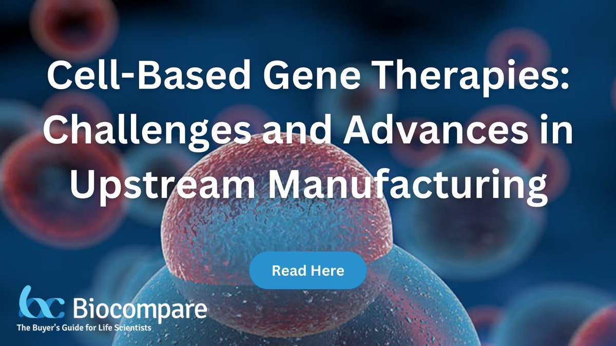 biocompare's tweet image. Cell-based gene therapies show promise but face several manufacturing and regulatory hurdles. Learn how real-time monitoring, optimized cell handling, process analytics, and new DNA production methods are improving development and potency. 

Read here: biocompare.com/Editorial-Arti…