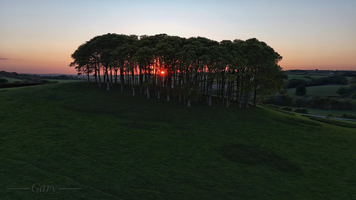 Nearly Home Trees with a beautiful Sunset. Kind permission from the owner. #myphoto #nearlyhometrees #iconic #djimini4pro #scenic