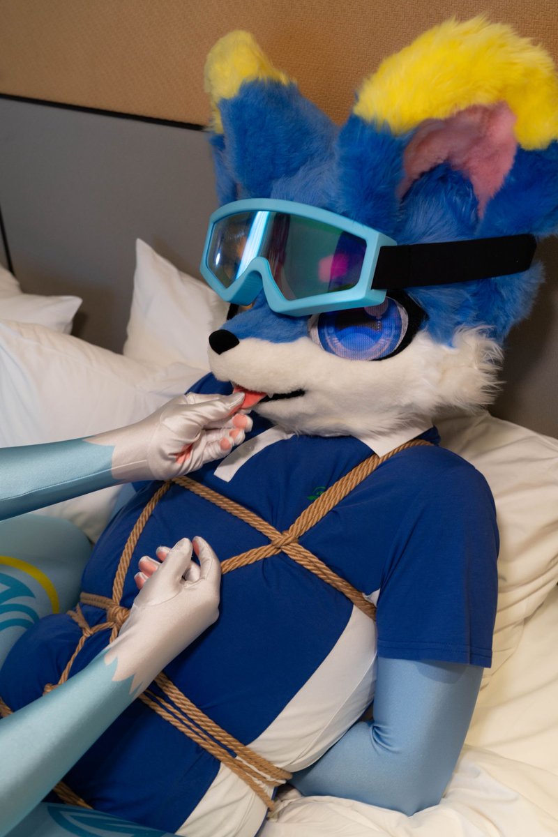 小兽太战败记录第24.2弹
哎，不是，看大包就看大包，怎么还揪上舌头了？小心我舔死你
#小动物作战记录
<a href="/blbcymc/">白凛bcymc</a>