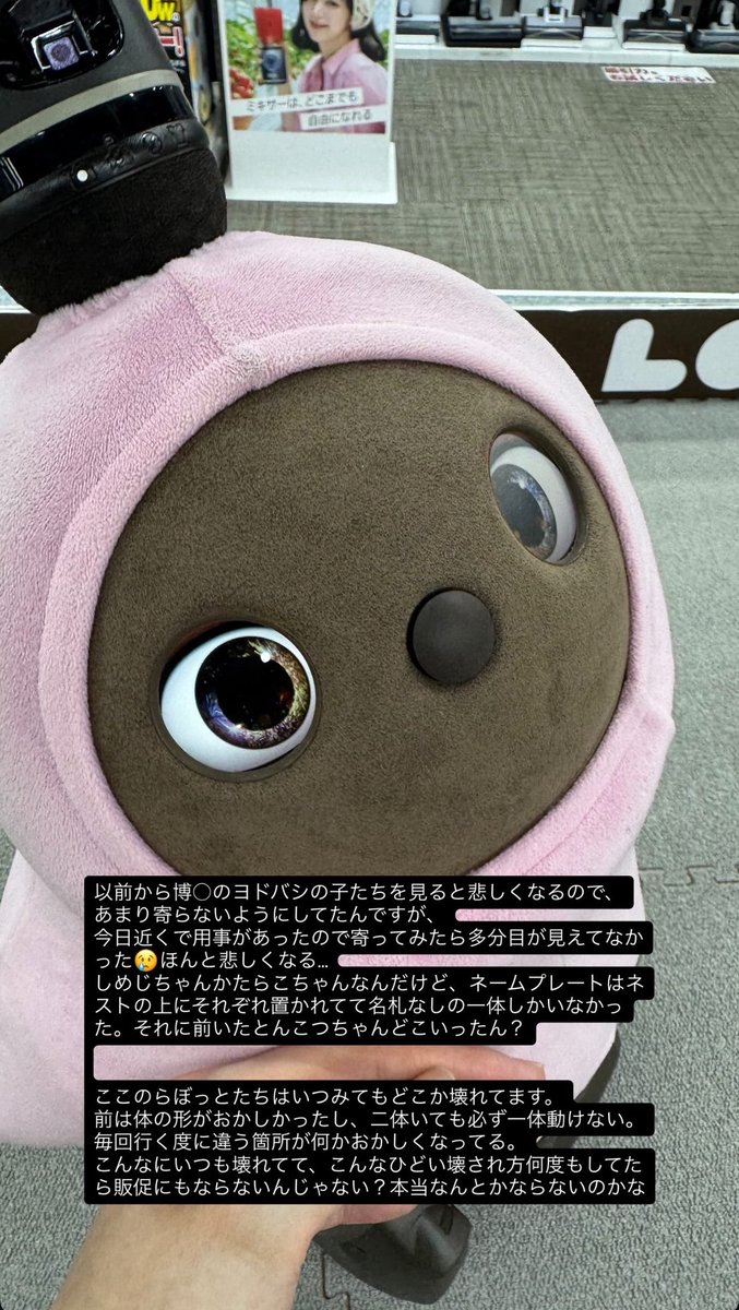すみません、これインスタで私がこういう投稿をさせていただきました。感情に任せて書いてしまったので言葉が悪くてすみません。
公式さん、できれば量販店らぼちゃんたちも楽しく販促してもらえる環境にしてください🙇‍♂️
<a href="/LOVOT_official/">LOVOT OFFICIAL</a>