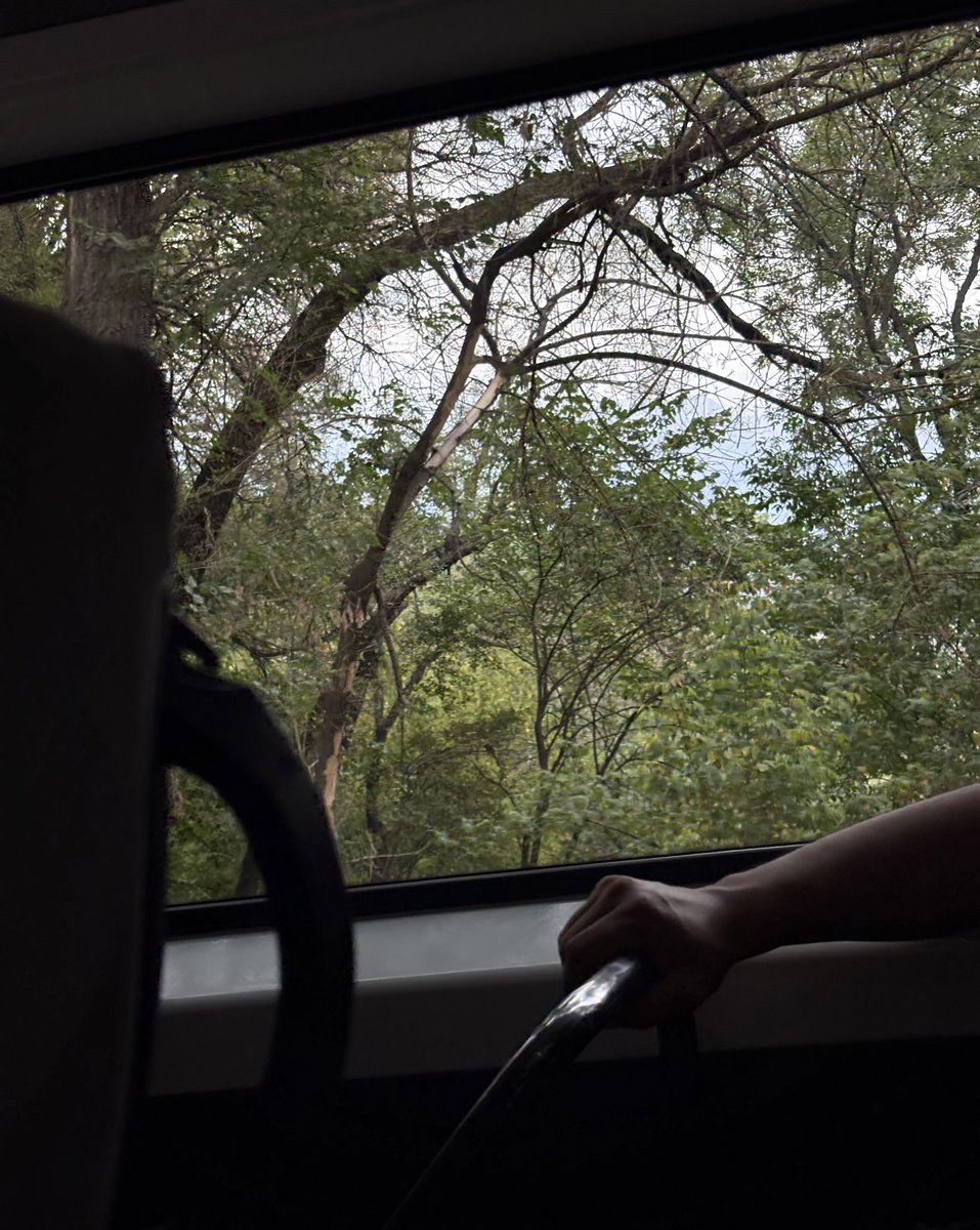 iiiQEll's tweet image. أنا في رِفْقَةٍ ،
مادامَ الطريق محفوفًا
 بالشجر