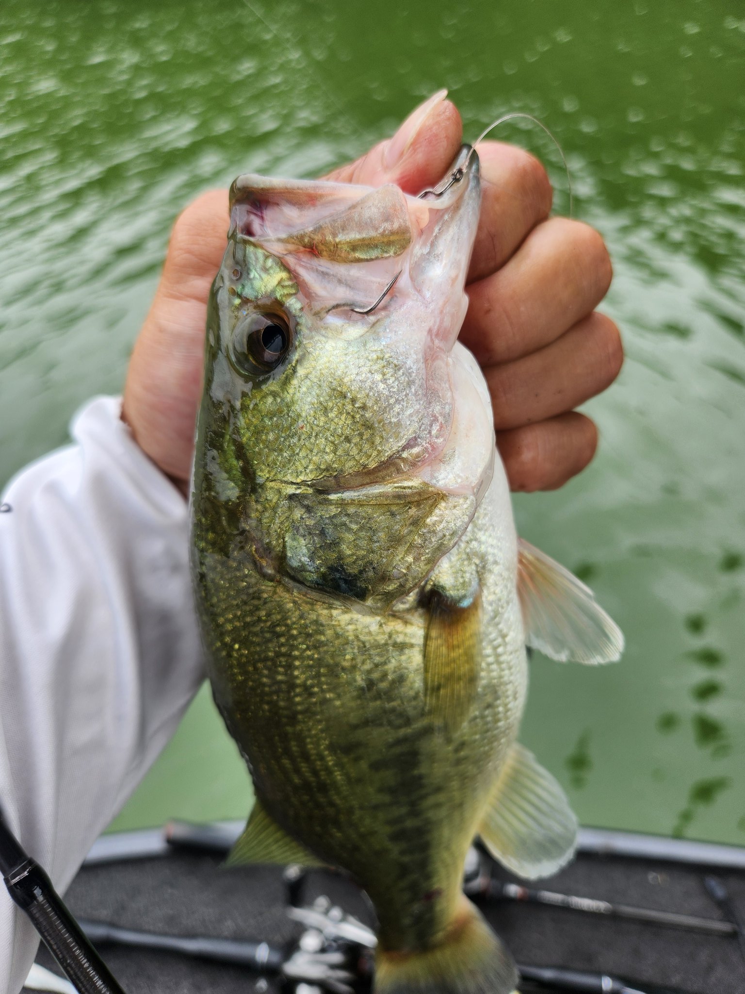 JACKALL BASS FISHING (@JACKALL_Inc) / X
