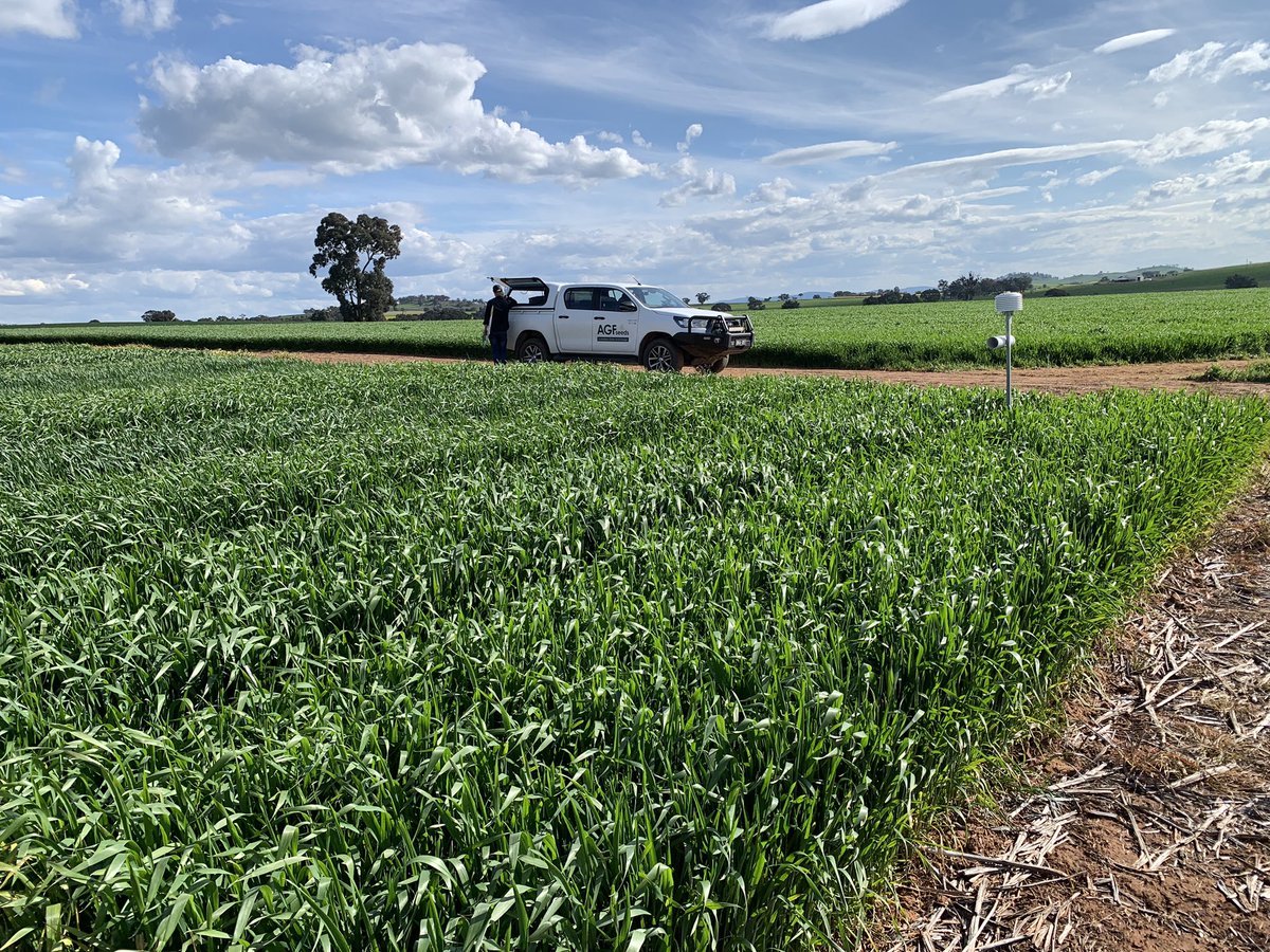 Brendan Torpy tweet media