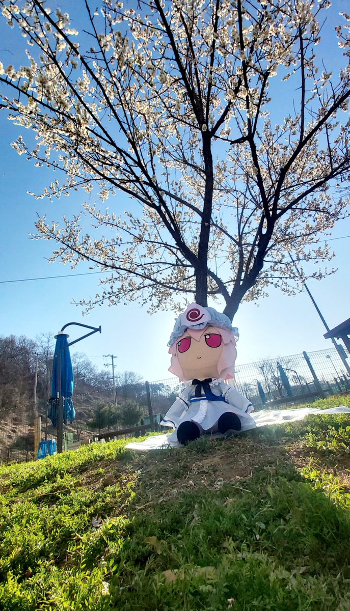 #Fumofumo #fumo #でかふも #ふもふも