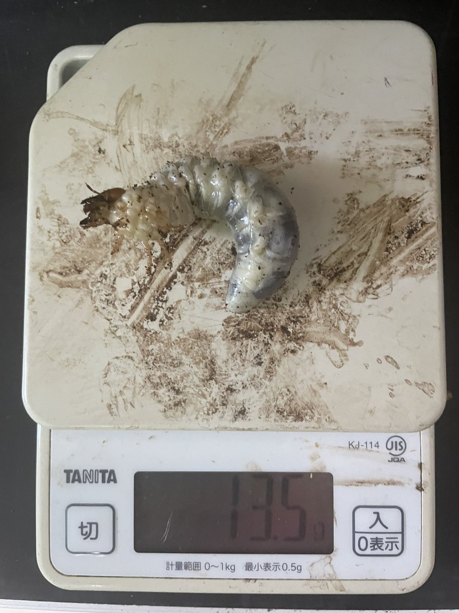 かっつん かっつん (@uq4yufhZFyiqsxY) / X