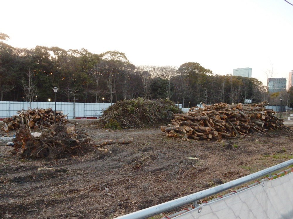 大阪城公園の樹木を大量伐採してまでクールジャパンパーク大阪（≒吉本劇場）を建設するのはどうかと思う。