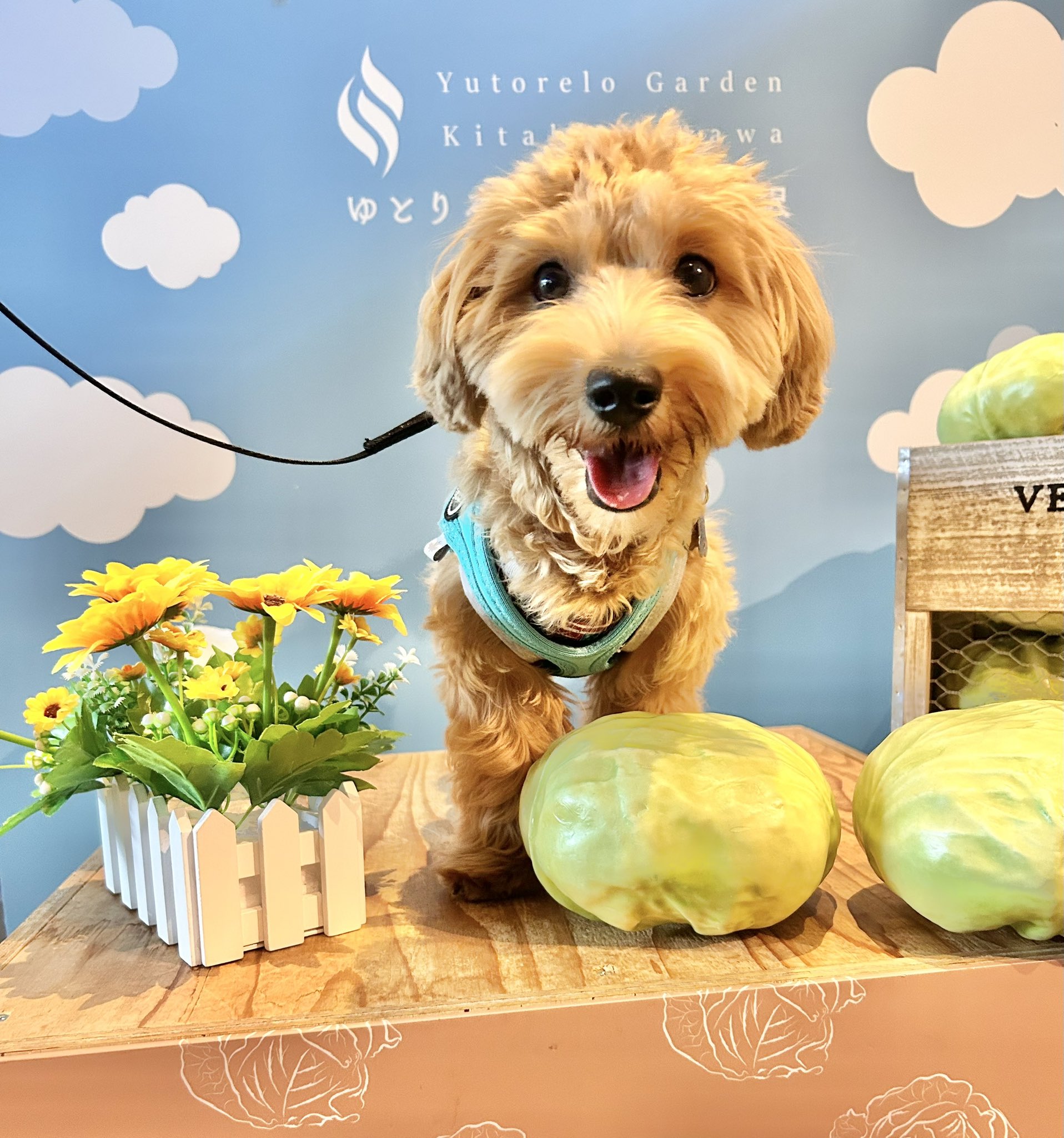 えり (@xxeri0505xx) / X