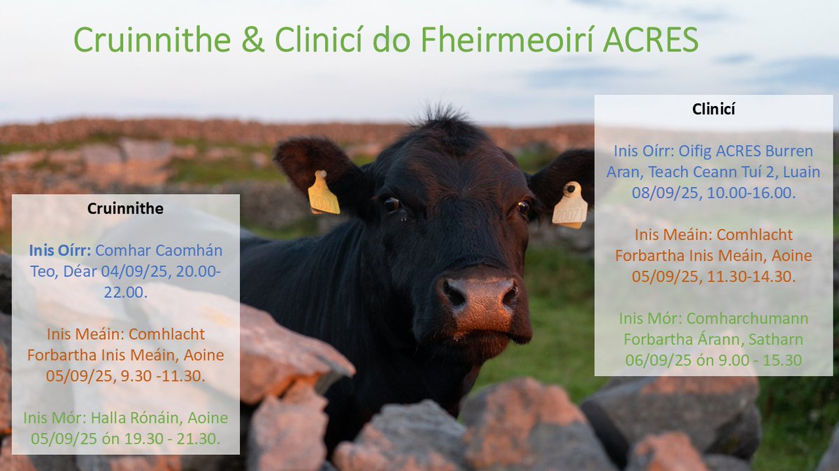 ‼️Meabhrúchán: Cuirfear tús le cruinnithe agus clinicí do fheirmeoirí ACRES ar na hoileáin, in Inis Oírr tráthnóna inniu  
‼️Reminder: Our Island farmer clinics and meetings kick off this evening in Inis Oírr!