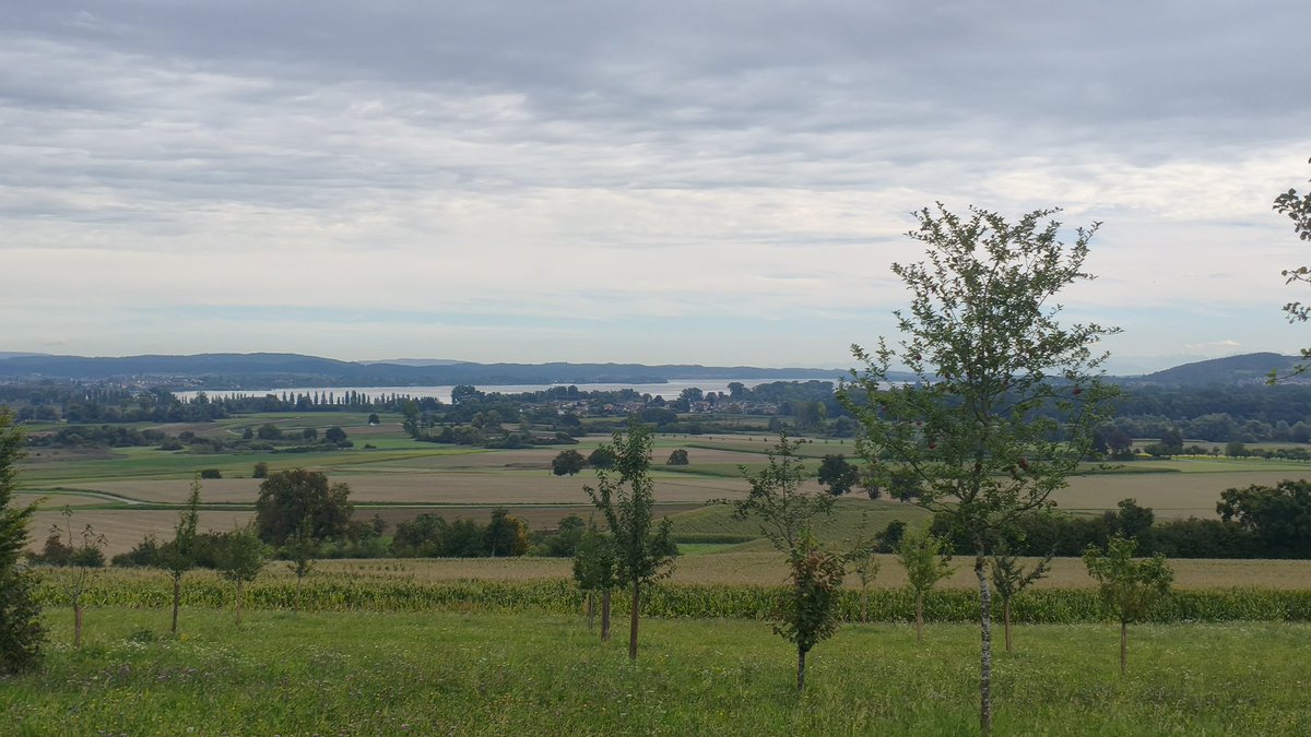 We are going on a hike. A little earlier today. A thunderstorm is forecast to arrive in four hours.
We have a beautiful view of Lake Constance. #LakeConstance