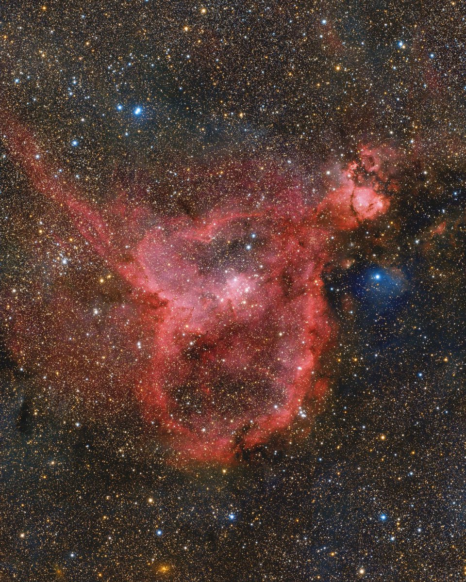 秋は恋の季節、と聞いたので旬には少し早いのですが、ハート星雲を撮影しました。

港区女子風な爽やか仕上げとしたかったんですが、かなりケバくなっちゃいました。
深層心理としてそちらが好み、なのかもしれません。

ま、これはこれでいいか…