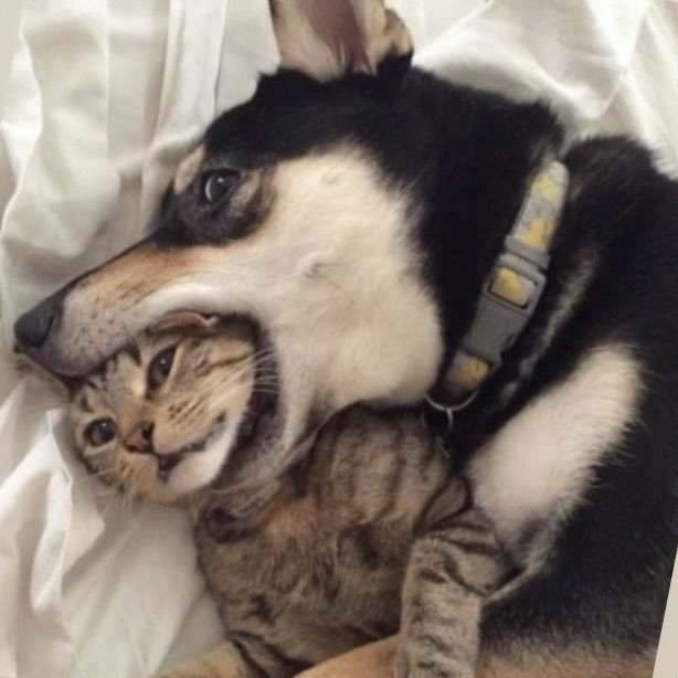 psiluvvu's tweet image. ของั่มหน่อยค้าบบบบบ🤏🏻🤏🏻

PST LIVE LINE MAN

#LINEMANถูกสุดทุกวันxPerthSanta