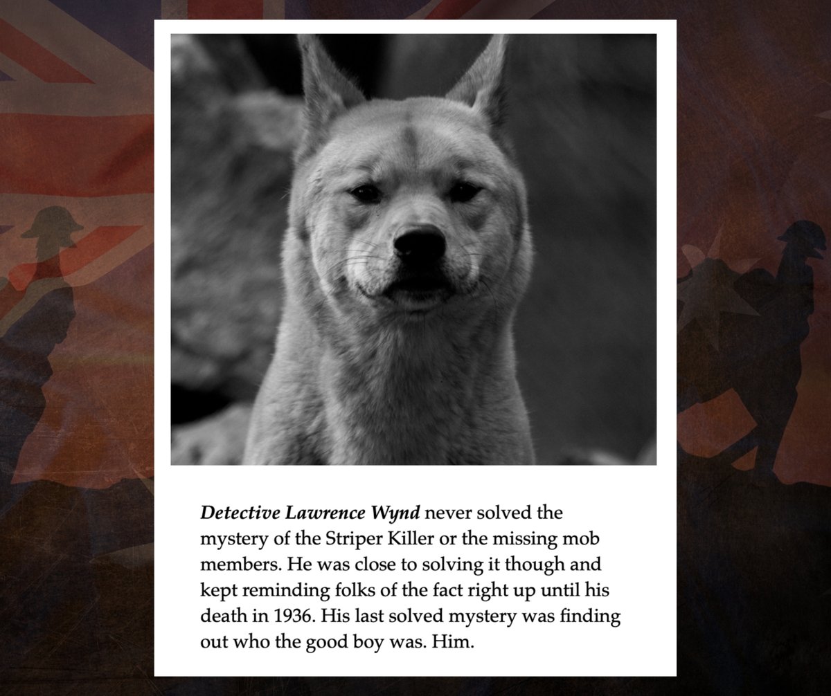 JABryden's tweet image. Possibly my favourite part of writing Letters from the Emu War was coming up with the &quot;Where are they now&quot; section. 🤣 #kidslit #emuwar #aussieauthor #indieauthor