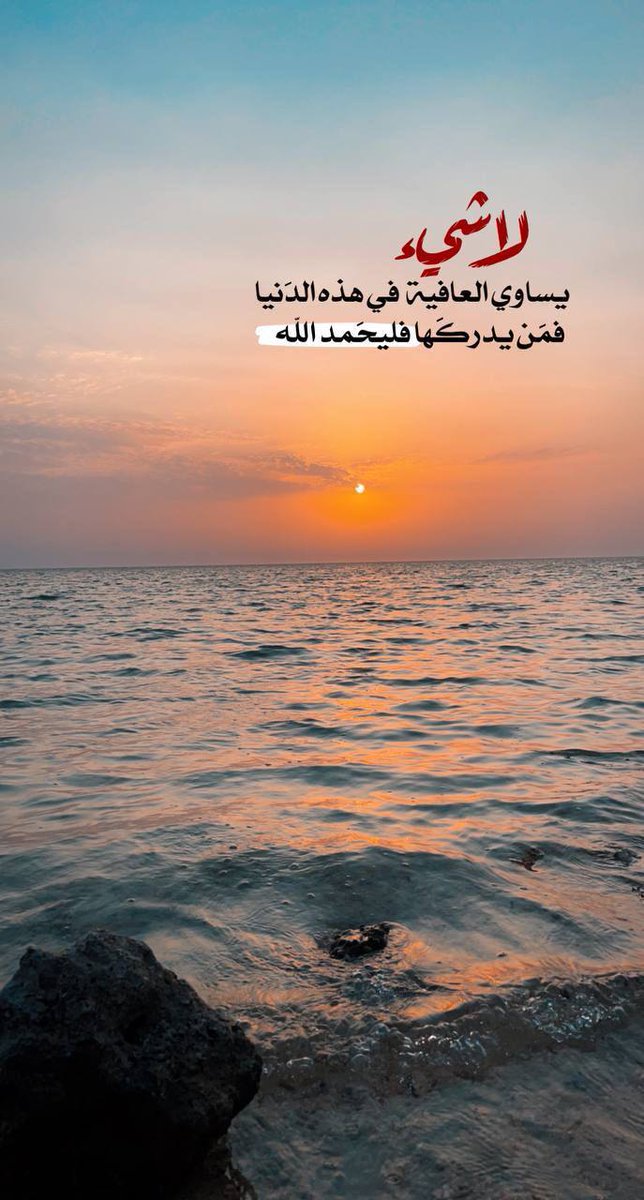 قلب الاسد (@tthiufxvvzhh0on) on Twitter photo 