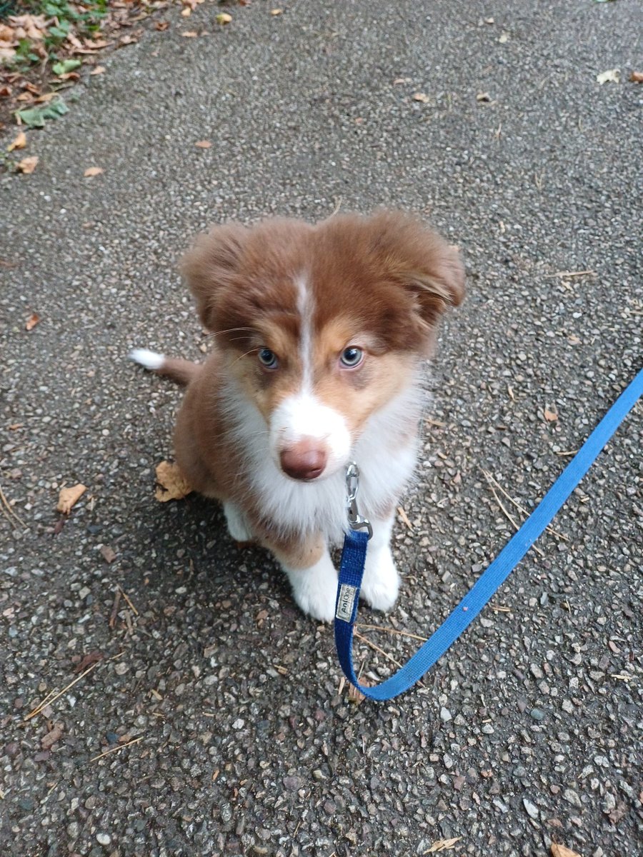 Petite bouille sest encore roulé dans l'herbe !