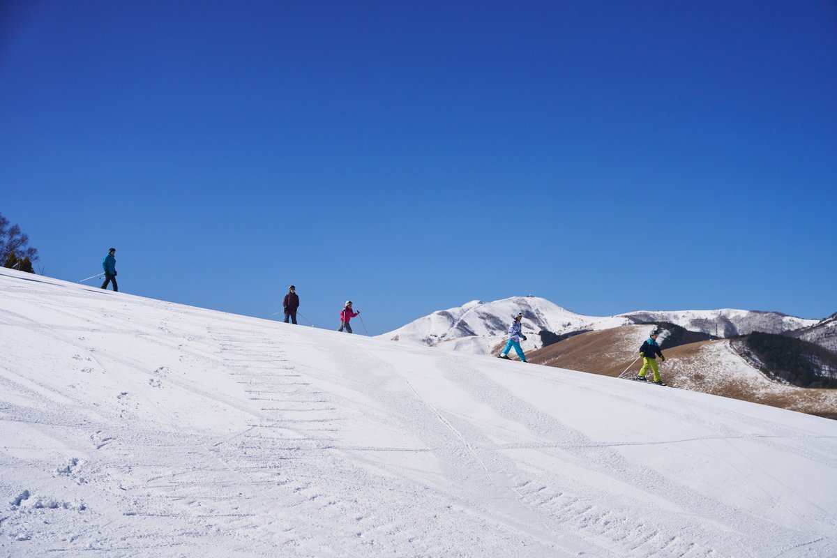 ⛄️冬の宿泊プラン販売開始❄️ https://t.co/udEdIk9Or6 池の平ホテルの冬季宿泊プランを販売開始しました☺️  リフト券・レンタルの特典付き等、ウィンターレジャーを楽しむのにうってつけのプランをご用意。 隣接のスキー場、池の平スノーパークは12月20日（土 ...