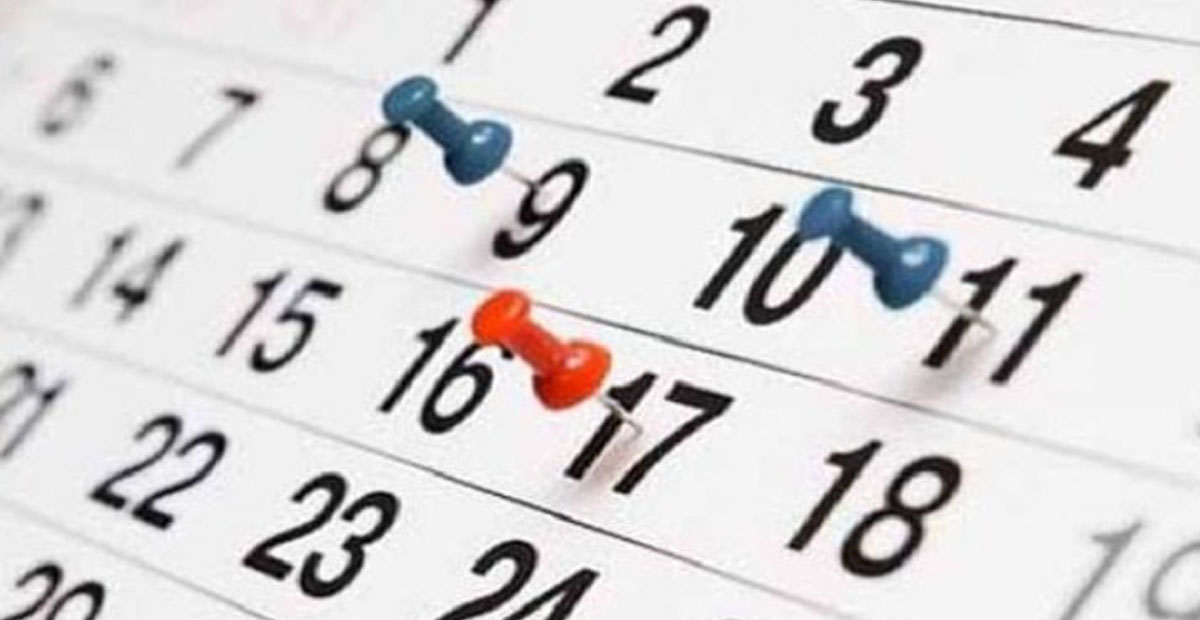 📅 CALENDARIO TAURINO

Calendario de festejos del domingo, 7 de septiembre

revistatauromadrid.com/2025/09/notici…