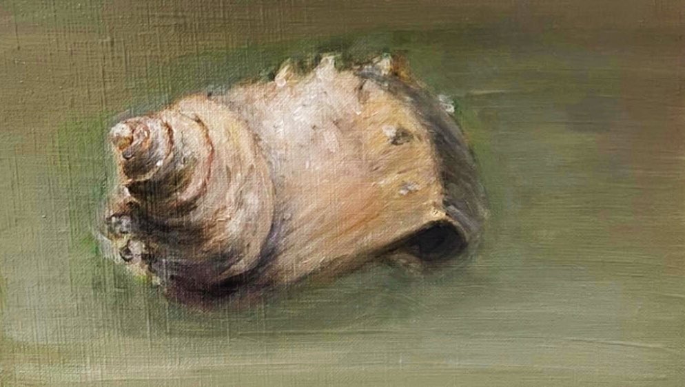 naompty57's tweet photo. 油絵二作目
貝の旅終わり

#油絵
#oilpainting 
#貝 https://t.co/JPboMmemjz