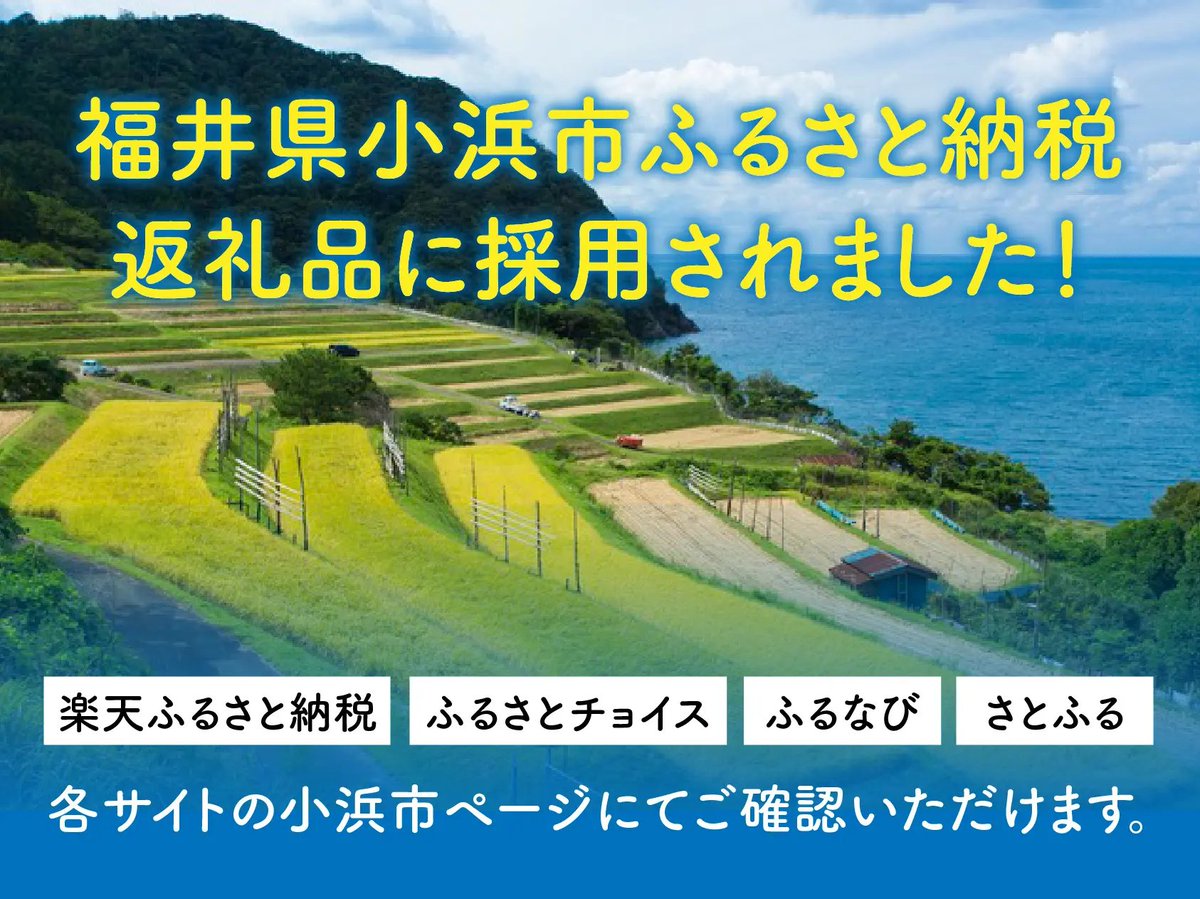 ふるさと納税】 2025年10月からふるさと納税制度のルールが変更となります📝 ポイント還元でよりお得に利用するなら、9月中がお勧め💁‍♂️  若廣の商品は... 「楽天ふるさと納税」 「ふるさとチョイス」 「ふるなび」 「さとふる」 にて小浜市の返礼品として採用されてい ...