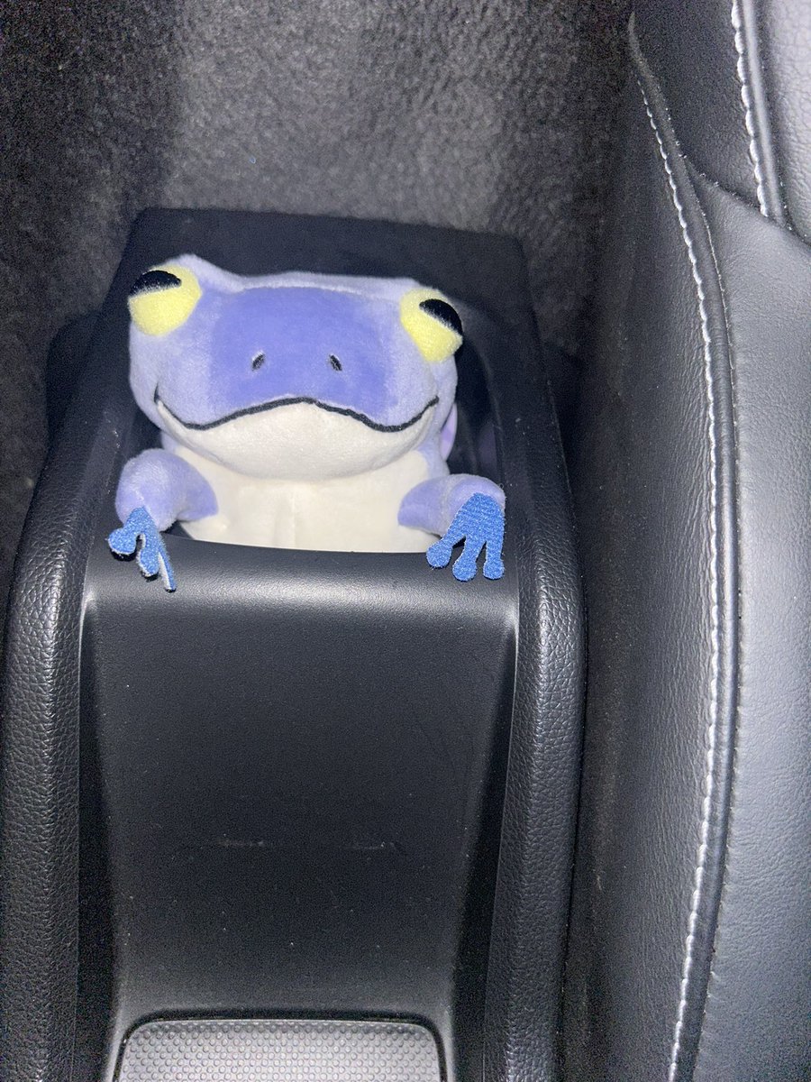 雨降りの帰路でお前の仲間大分引き潰した気がする、ごめんな