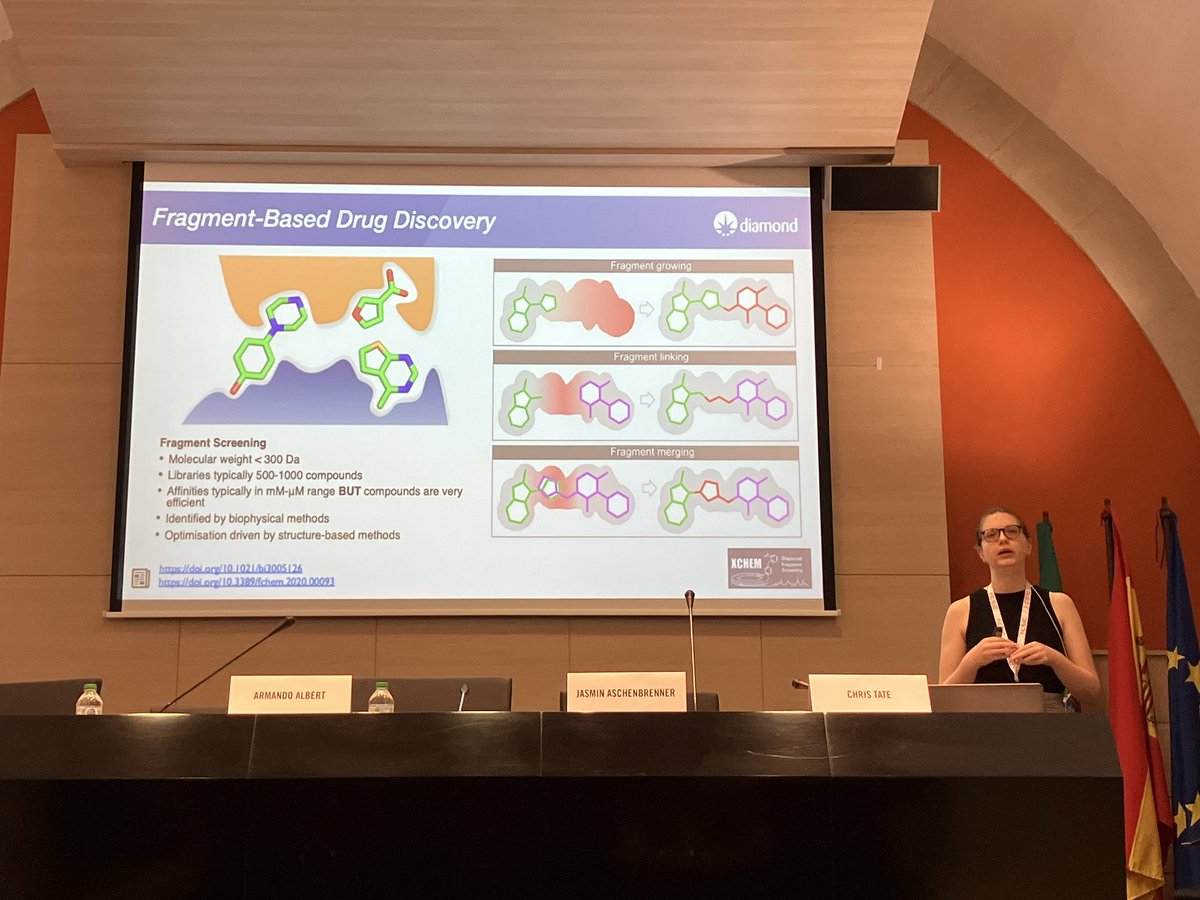 What a great simposium on Advances and Challenges in Structure-Based Drug Discovery at 47th <a href="/SEBBM_es/">SEBBM</a> Congress! <a href="/xalbertdelacruz/">Armando Albert</a> <a href="/iqf_csic/">IQF-CSIC</a> <a href="/DiamondLightSou/">Diamond Light Source</a> #MRC-LMB