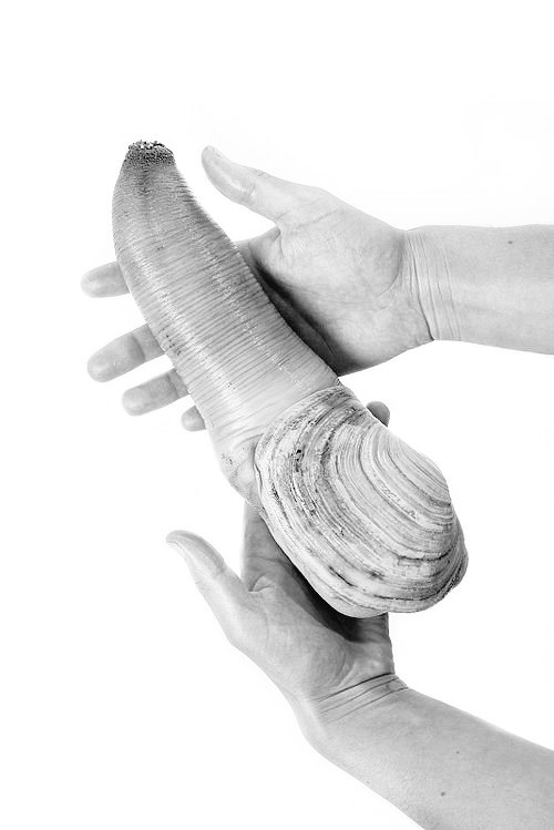 What do you call this!