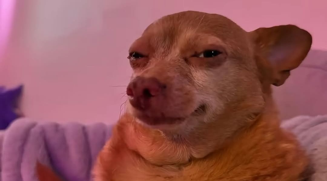 When you're pregnant and have medical aid, we create false reasons for you to do a C-section since it's more money 🙂‍↔️🙂‍↕️