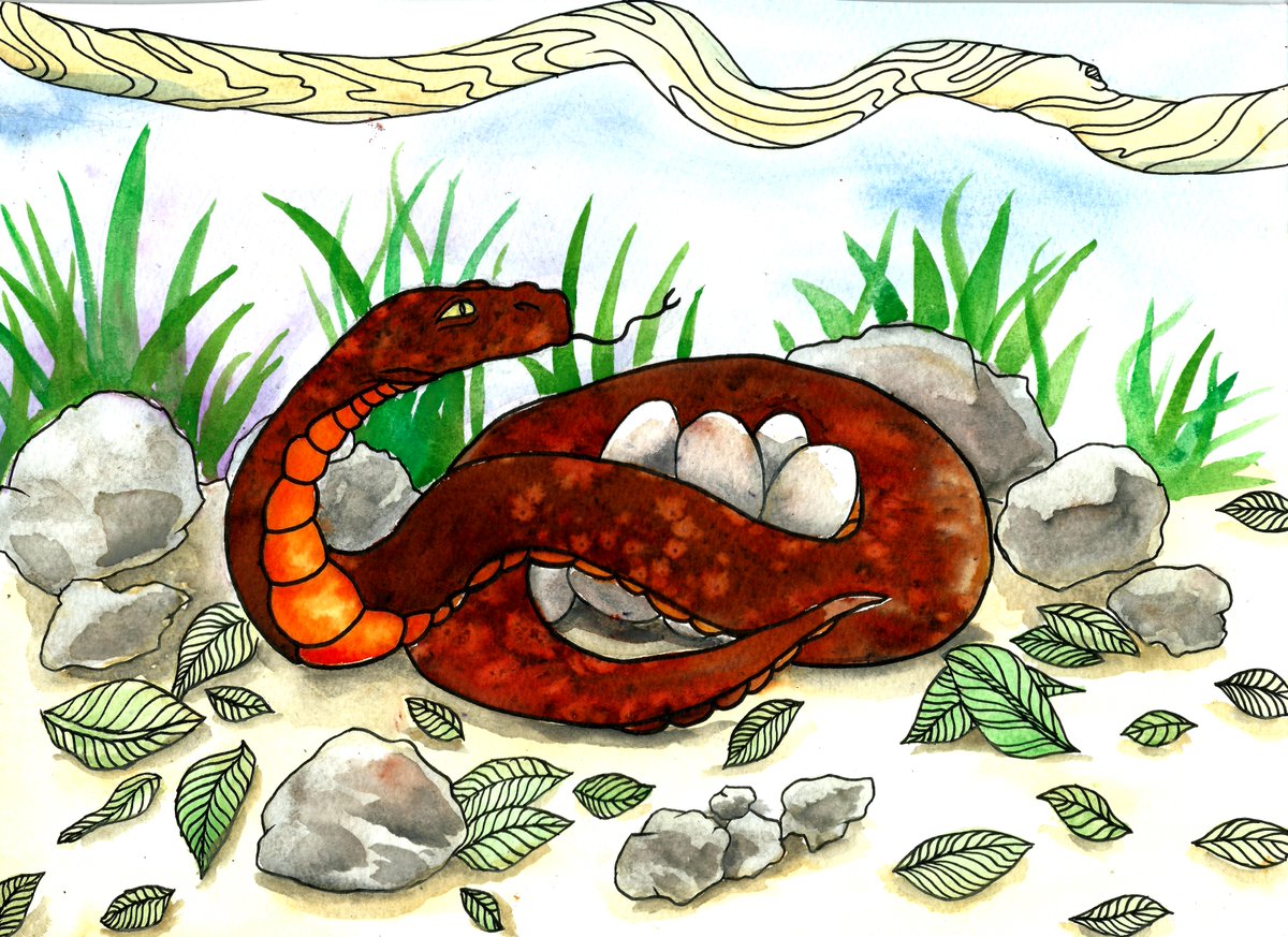 Thur 28th August:  re-set
Earth Snake: major change that has been building a while. Think 1989. Best attend to routine till the dust settles: it won’t be today.      
Special caution: Pig, Tiger
Technically: Earth Snake, Dipper, Receive (7)
Earth Snake Pic: ©2024 @EllieSpinelli