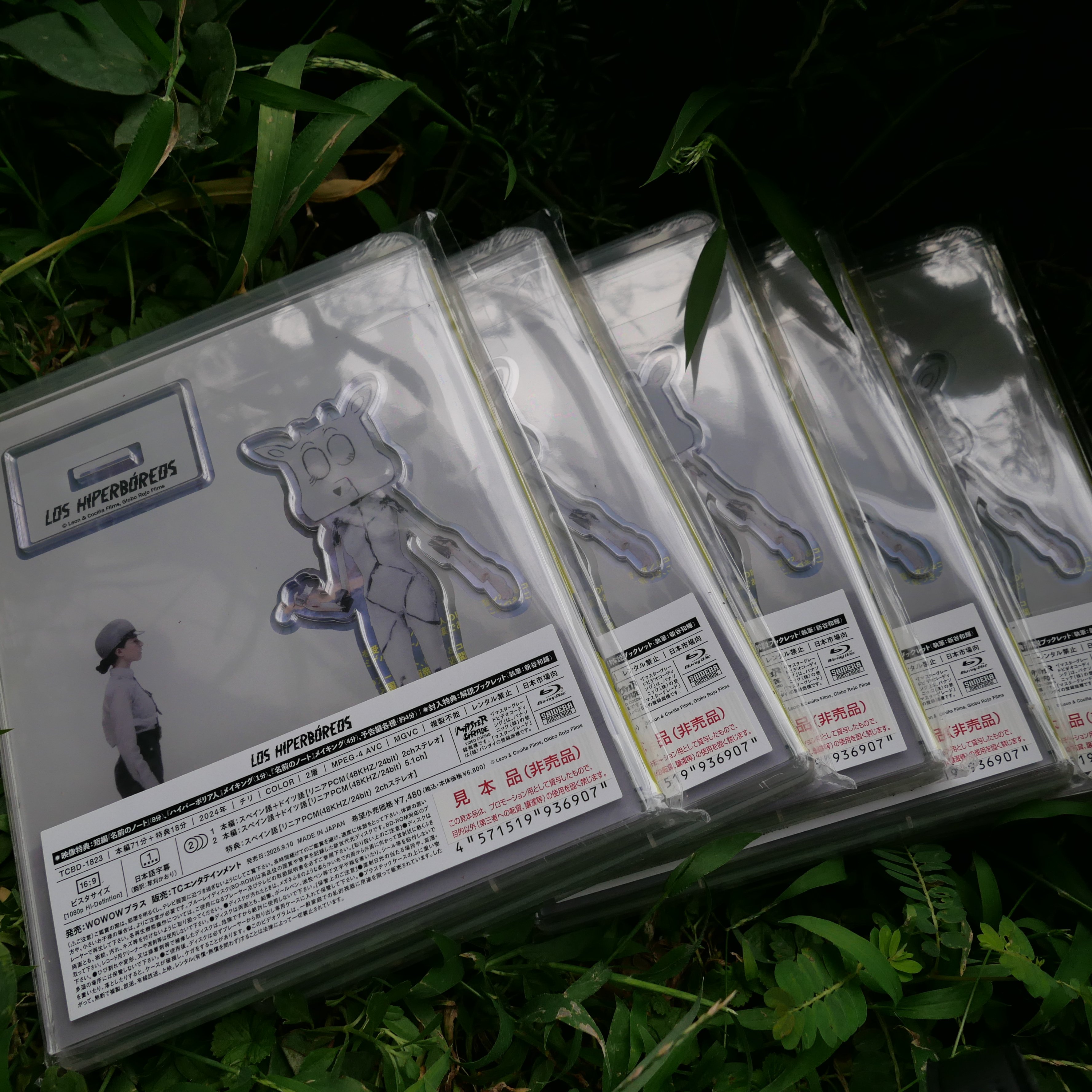 新品 脱出 ブルーレイ スチールブック 日本語音声・字幕 Amazon.co.jp: 【Amazon.co.jp限定】ウィキッド ふたりの魔女