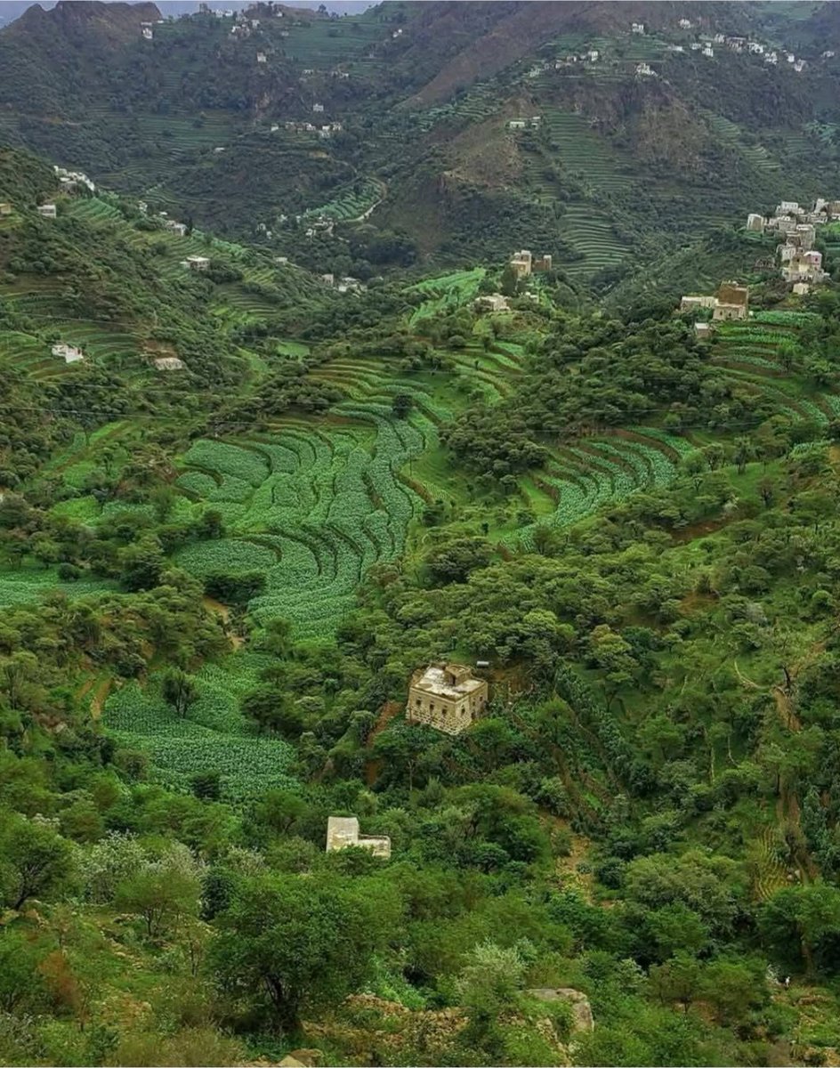 وصاب بن حمير